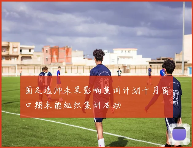 国足选帅未果影响集训计划十月窗口期未能组织集训活动