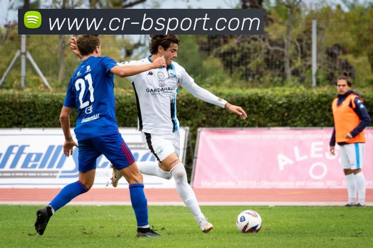 B体育平台生态图